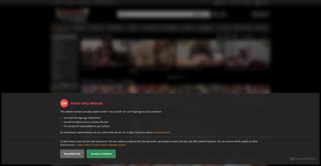 Security scan screenshot of https://ashemaletube.me