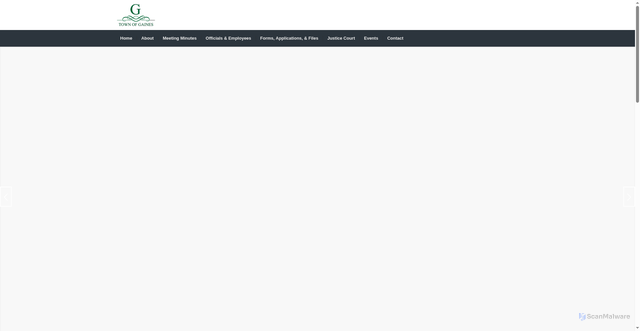 Security scan screenshot of https://townofgaines.gov/