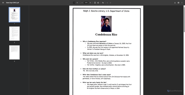 Security scan screenshot of https://www.loc.gov/flicc/publications/Exemplars/StateDepartment/State%20Dept-CRICE.pdf