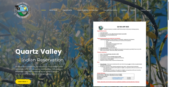 Security scan screenshot of https://qvir-nsn.gov/