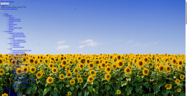 Security scan screenshot of https://sperryok.gov/