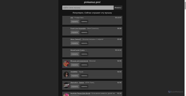 Security scan screenshot of https://pinkamuz.pro