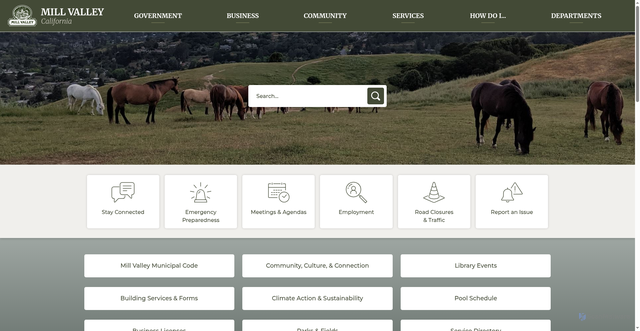 Security scan screenshot of https://cityofmillvalley.gov/