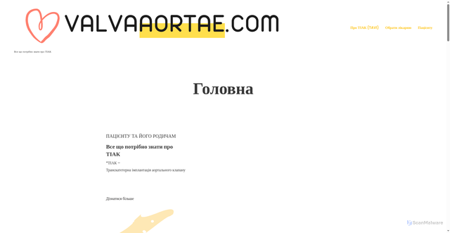 Security scan screenshot of https://valvaaortae.com