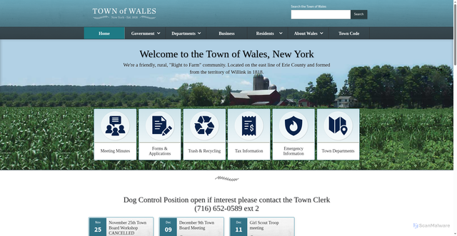 Security scan screenshot of https://www.townofwalesny.gov/