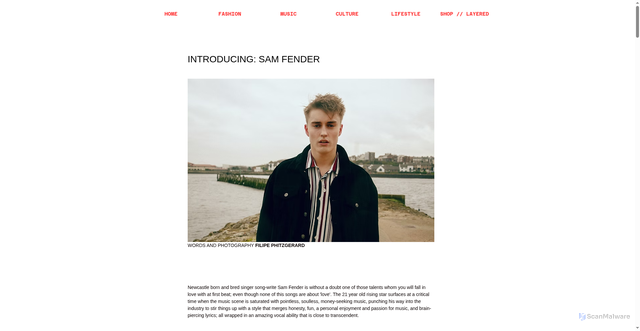 Security scan screenshot of https://www.fwordmag.com/single-post/artist-profile-sam-fender