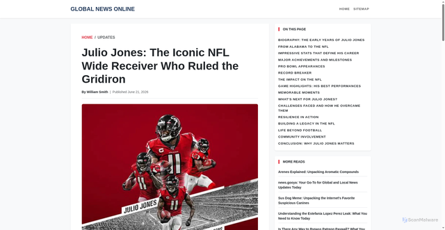 Security scan screenshot of https://old.anima.com.mk/julio-jones-the-iconic-nfl-wide-receiver-who-ruled-the-gridiron.html