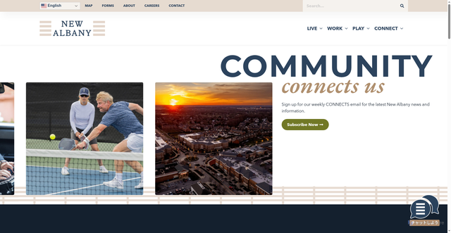 Security scan screenshot of https://newalbanyohio.org/