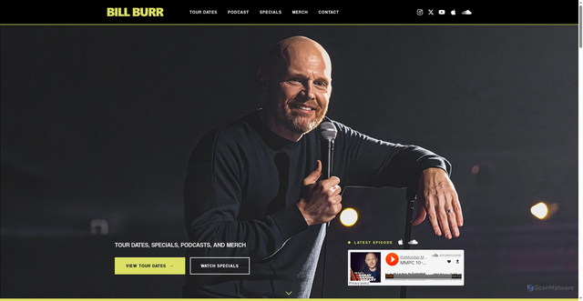 Security scan screenshot of https://billburr.com/
