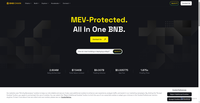 Security scan screenshot of https://www.bnbchain.org/