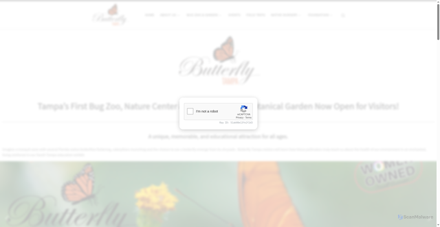 Security scan screenshot of https://butterflytampa.com