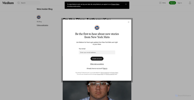 Security scan screenshot of https://metsinsider.mlblogs.com/on-the-rise-anthony-kay-59c38884bb78