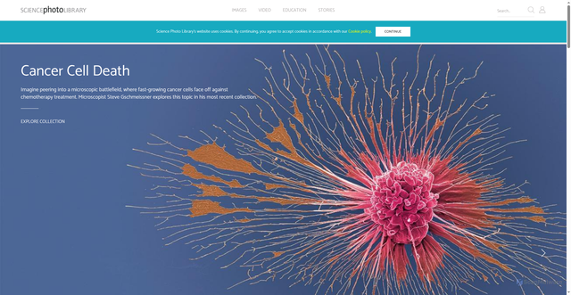Security scan screenshot of https://sciencephoto.com