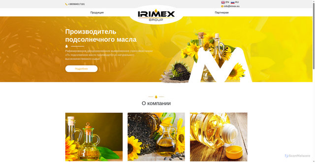 Security scan screenshot of http://www.irimex.eu/