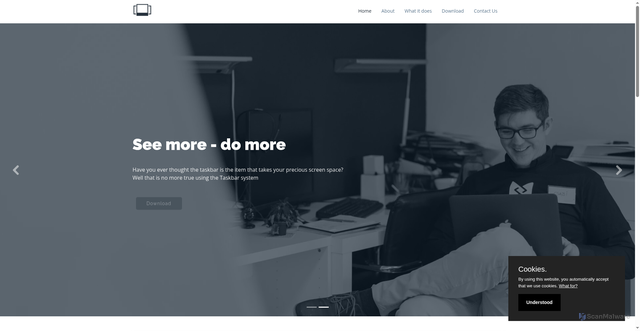 Security scan screenshot of https://taskbarsystem.com
