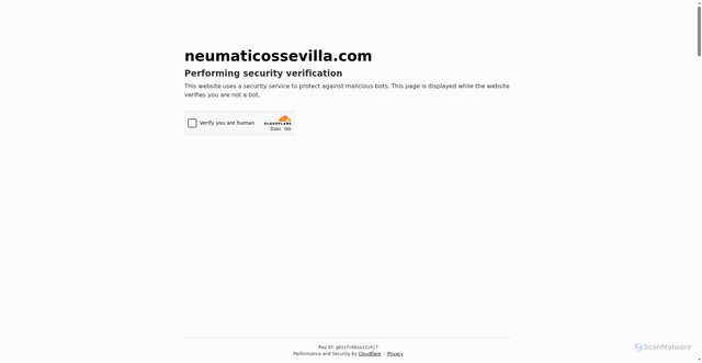 Security scan screenshot of https://neumaticossevilla.com