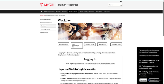 Security scan screenshot of www.mcgill.ca