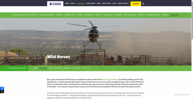 Security scan screenshot of https://www.idausa.org/campaign/wild-animals-and-habitats/horse-protection/wild-horses/