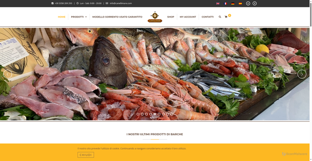 Security scan screenshot of https://canellimare.com/?g=60410637071000