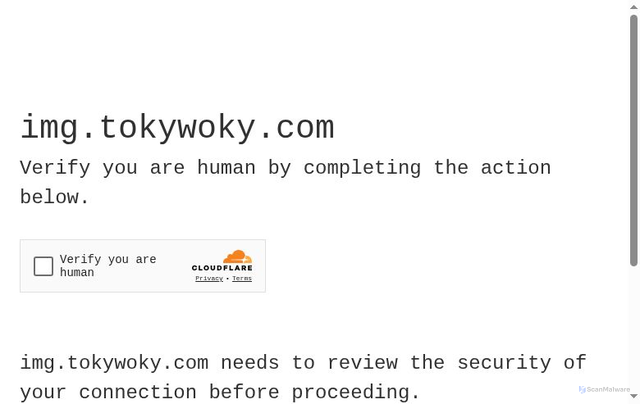Security scan screenshot of https://img.tokywoky.com/