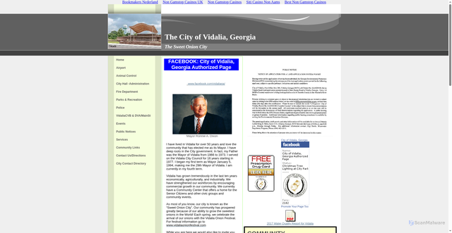 Security scan screenshot of https://www.vidaliaga.com