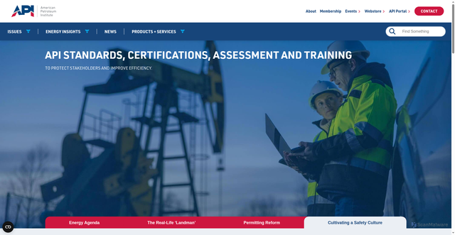 Security scan screenshot of https://api.org