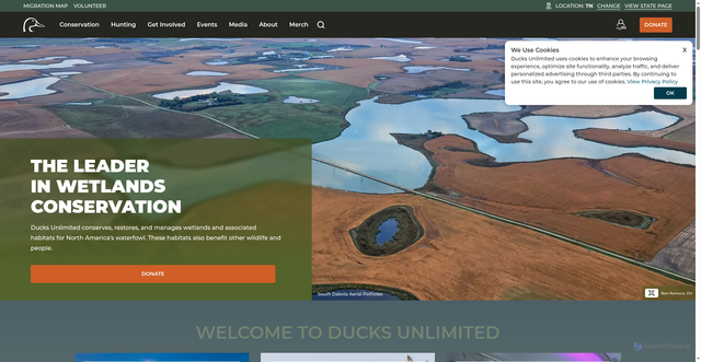 Security scan screenshot of https://www.ducks.org