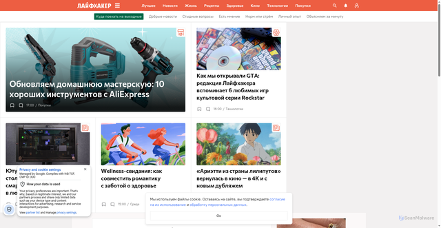 Security scan screenshot of https://lifehacker.ru