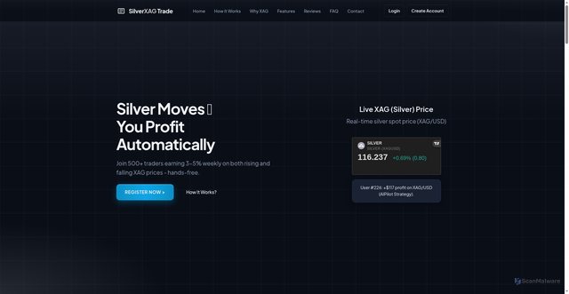 Security scan screenshot of http://silverxagtrade.com/