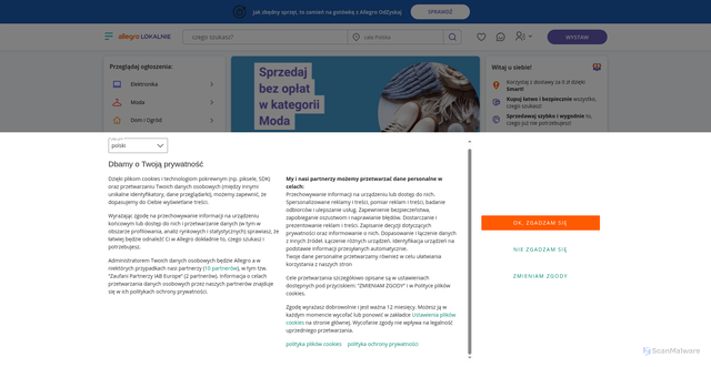 Security scan screenshot of http://allegrolokalnie.oferty-kategoria-proponowane-dla-ciebie-wszystko-18.icu/