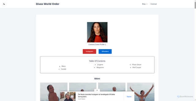 Security scan screenshot of https://www.divasworldorder.com/chelsea-green/