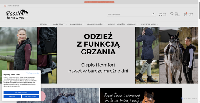 Security scan screenshot of https://www.passion-horse.pl