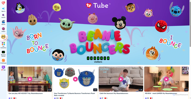 Security scan screenshot of https://ty.com