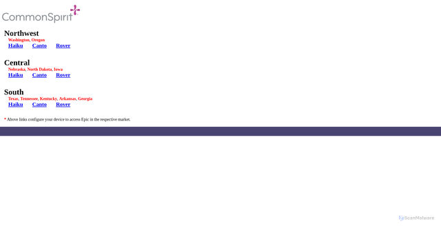 Security scan screenshot of https://rp.catholichealth.net