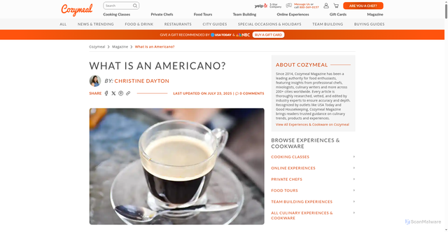Security scan screenshot of https://www.cozymeal.com/magazine/what-is-an-americano