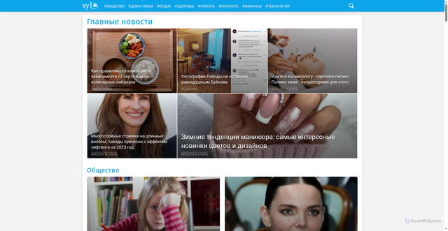 Security scan screenshot of https://syl.ru