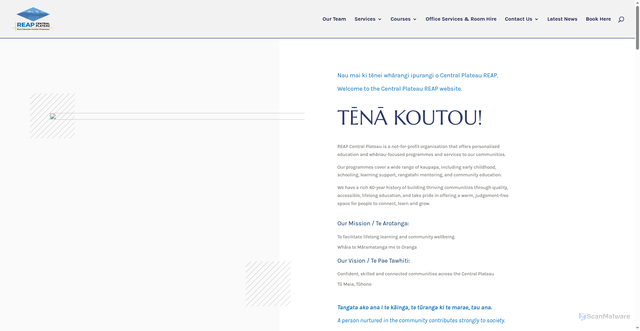 Security scan screenshot of http://www.reap.org.nz/