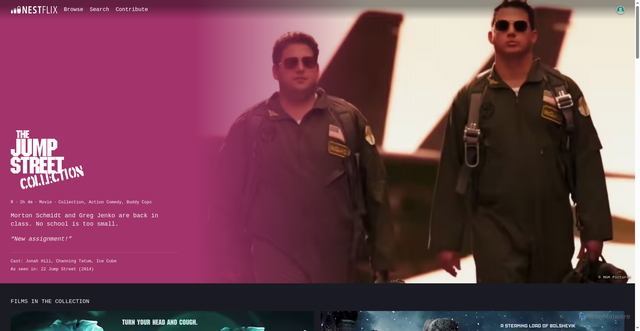 Security scan screenshot of https://nestflix.fun/the-jump-street-collection/
