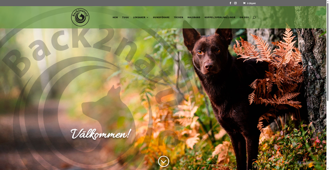 Security scan screenshot of https://back2nature.se