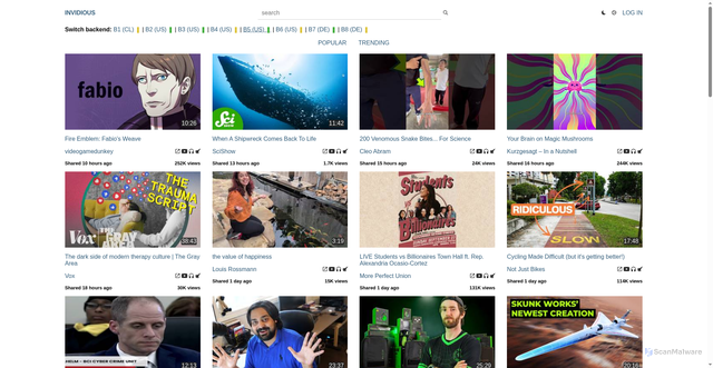 Security scan screenshot of https://inv.nadeko.net