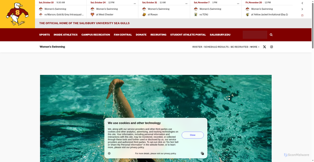 Security scan screenshot of https://suseagulls.com/news/2025/11/22/womens-swimming-womens-swimming-closing-in-on-yellow-jacket-invitational-title.aspx