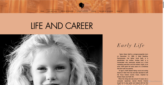 Security scan screenshot of https://www.theswiftmuseum.com/life-and-career