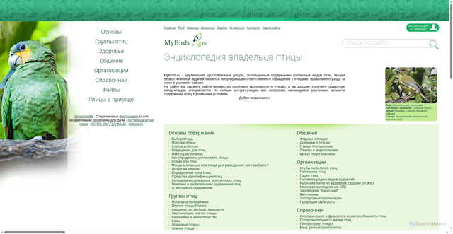 Security scan screenshot of https://mybirds.ru