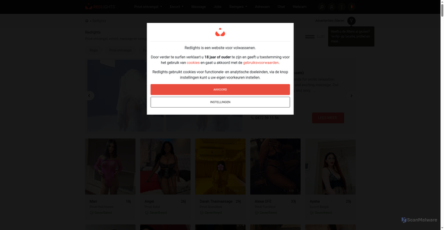 Security scan screenshot of https://red-lights.info/