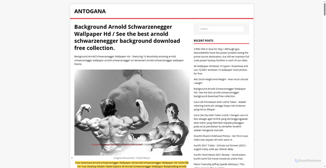 Security scan screenshot of https://anagotan.pages.dev/posts/background-arnold-schwarzenegger-wallpaper-hd/