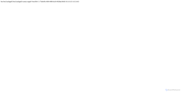 Security scan screenshot of https://bnz11azfapp02-canary-opaph.netmon.azure.us