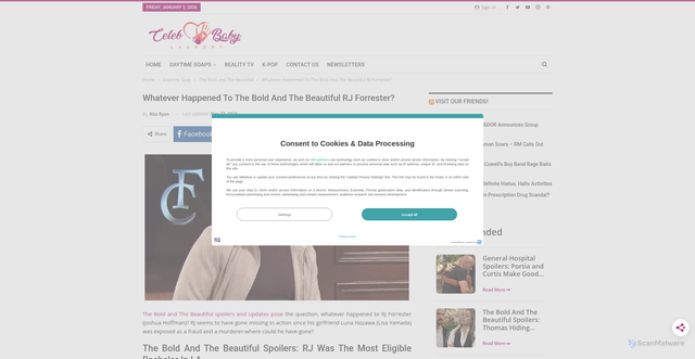 Security scan screenshot of https://celebbabylaundry.com/2024/11/whatever-happened-to-the-bold-and-the-beautiful-rj-forrester/