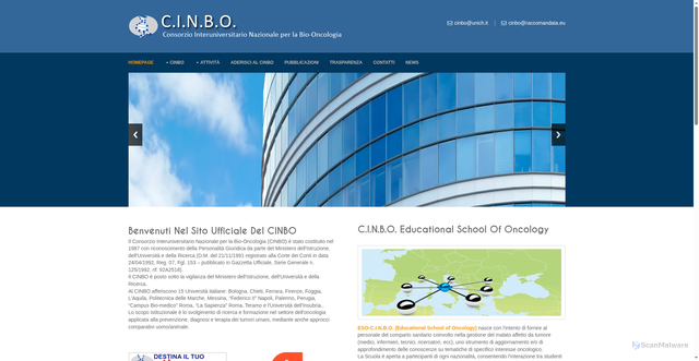 Security scan screenshot of https://www.cinbo.org/