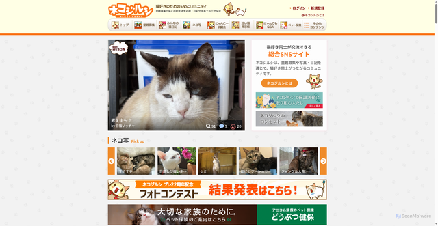 Security scan screenshot of https://www.neko-jirushi.com