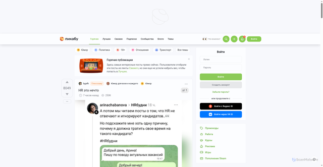 Security scan screenshot of https://cs18.pikabu.ru